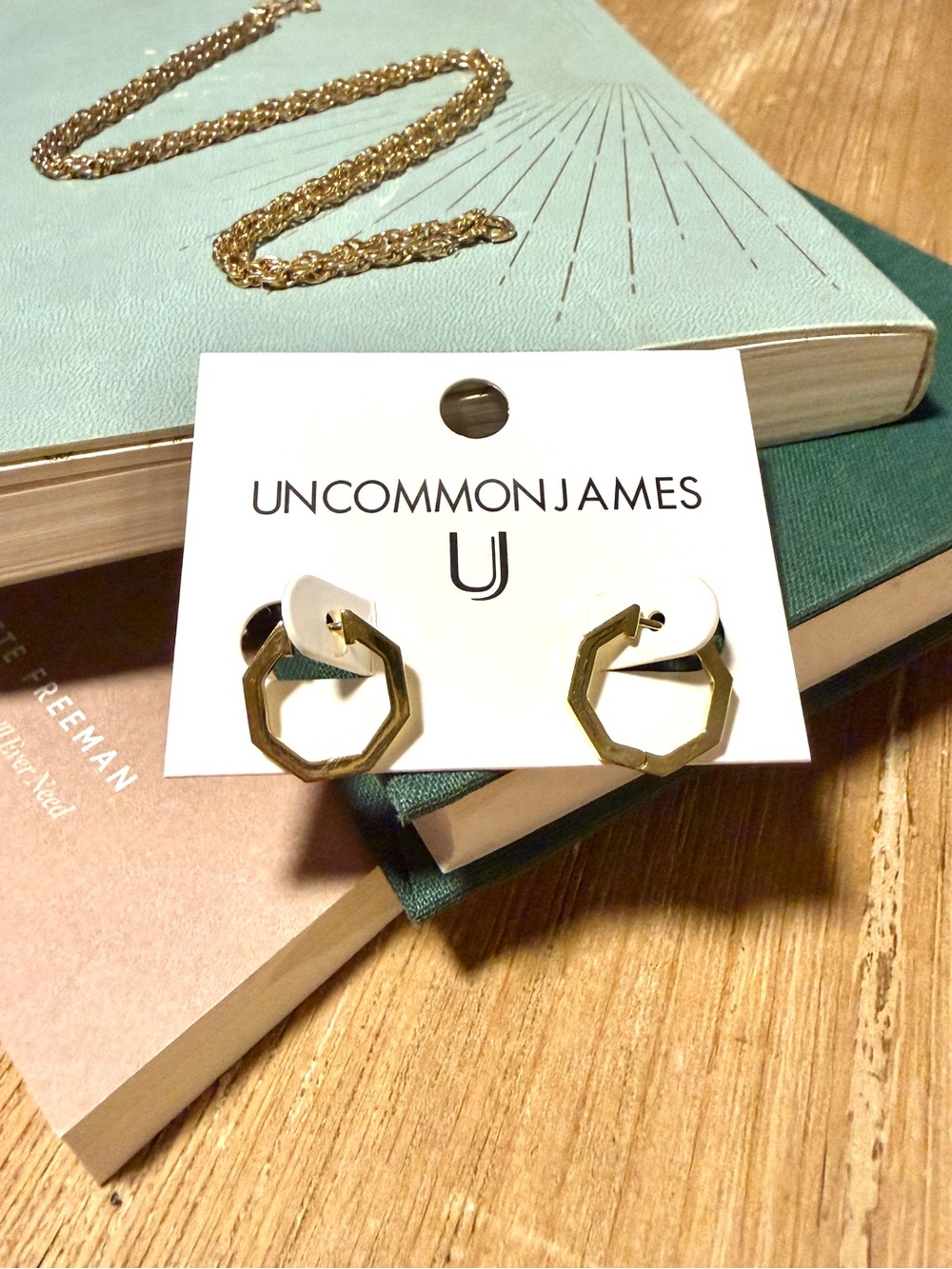 Uncommon James Octagon Huggie Hoop Earrings - Picture 3 of 3